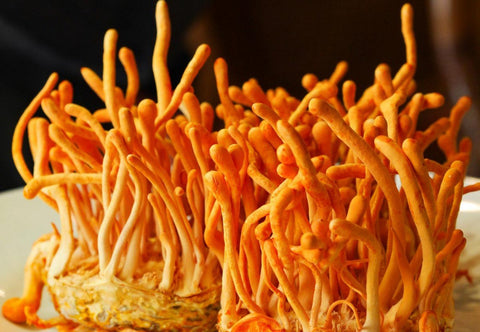 Functional Mushrooms - Cordyceps