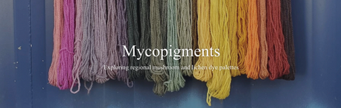 Dyeing with Mushrooms — Bloom & Dye