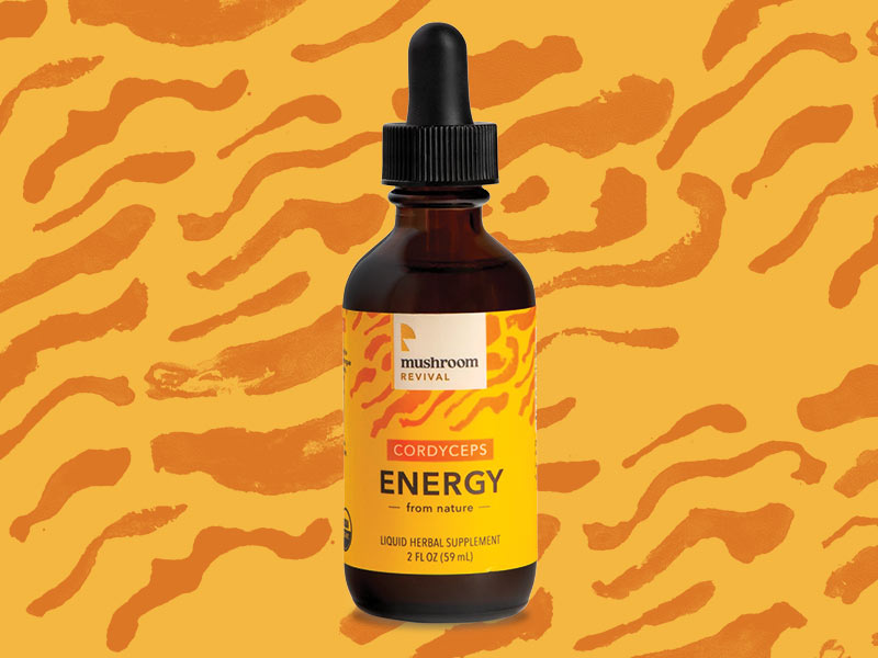 cordyceps energy tincture