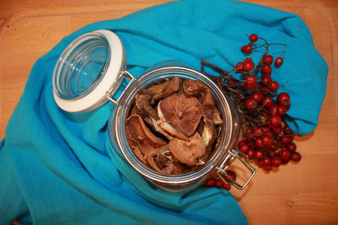 mushrooms in mason jar