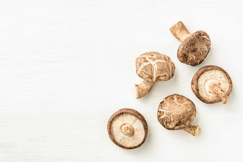 functional mushrooms - Mushroom Revival