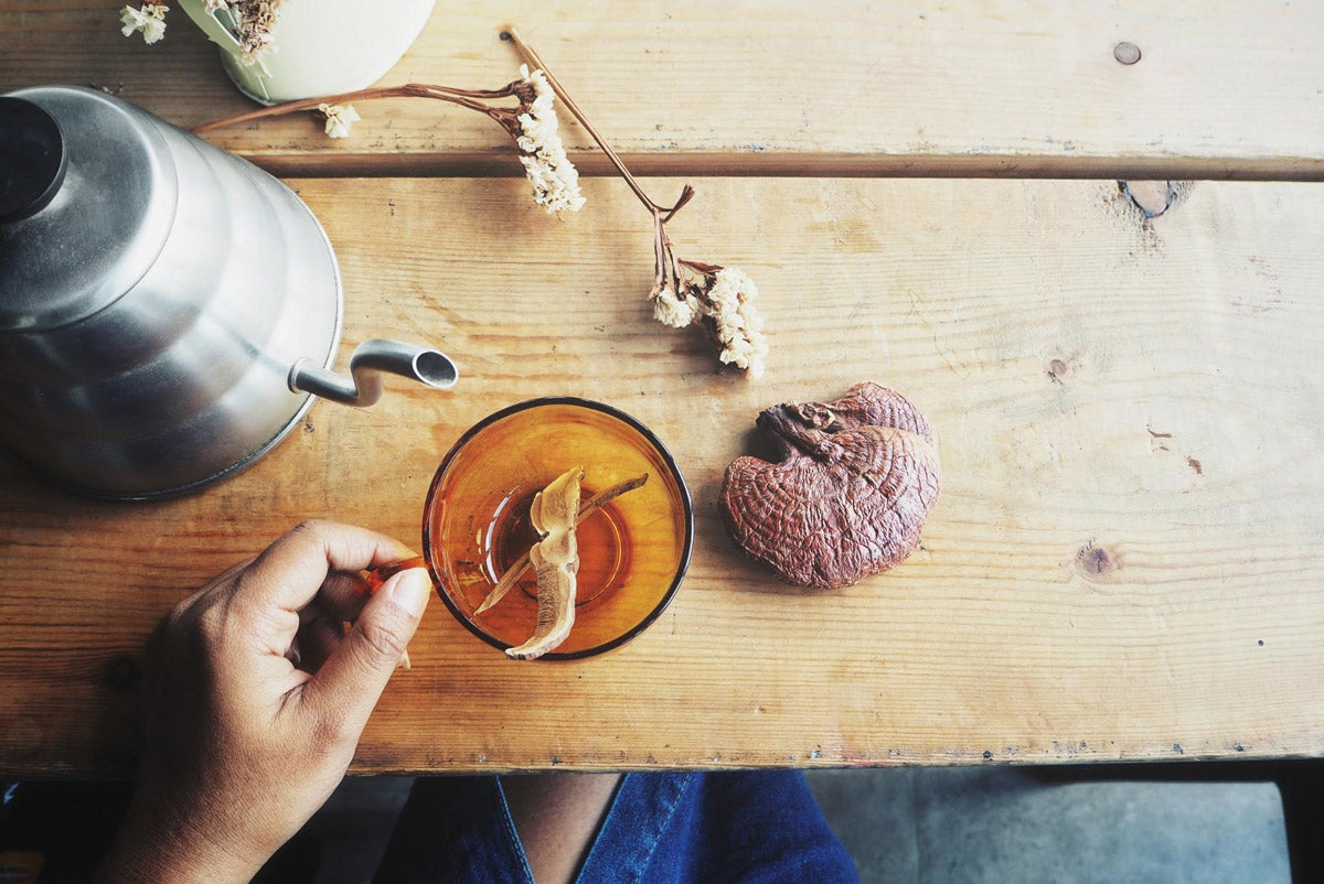 Reishi Mushroom Sleep Tonic