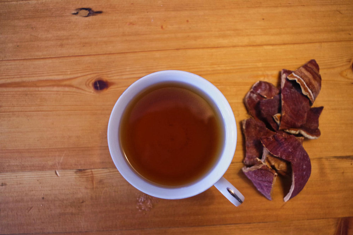 Reishi Tea