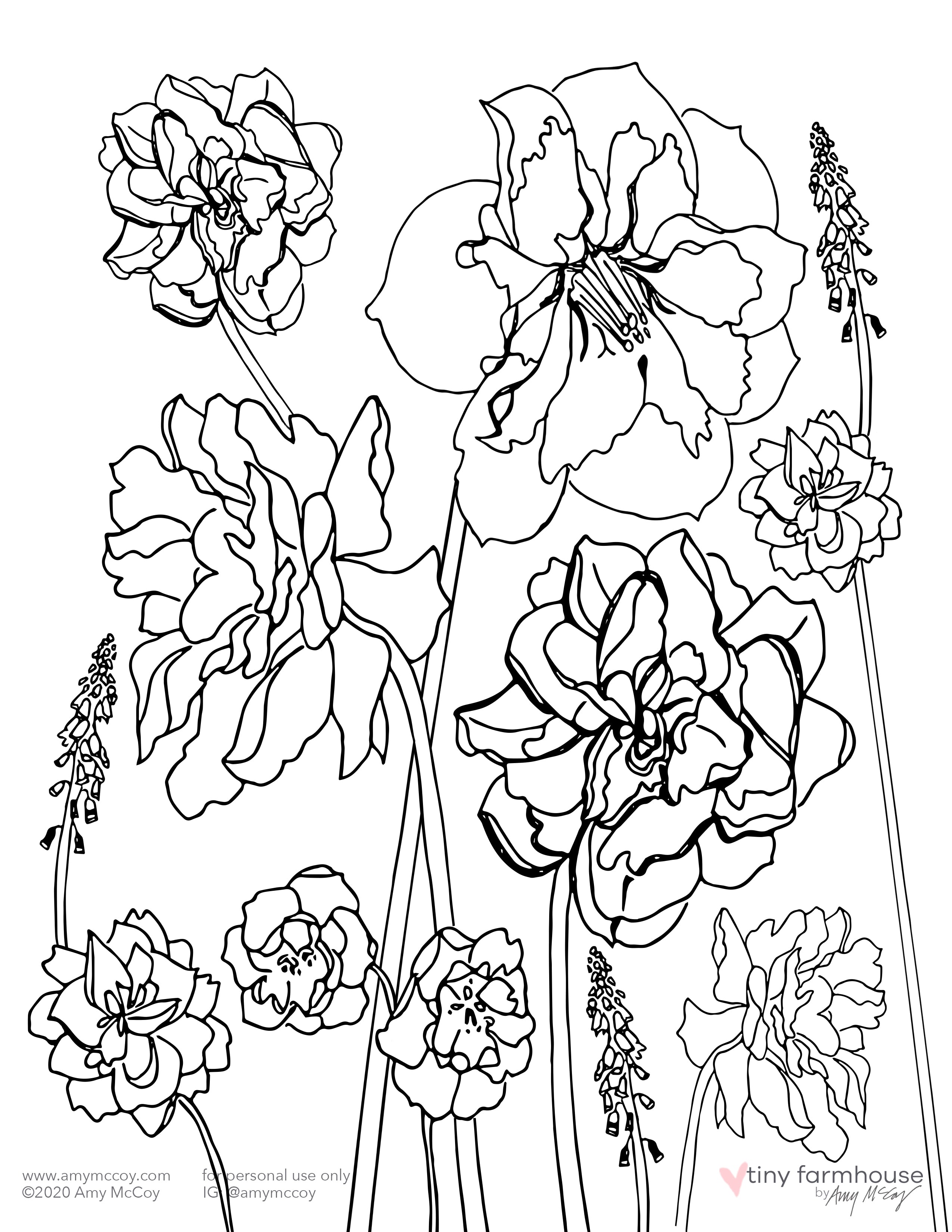 free printable coloring pages about daffodils