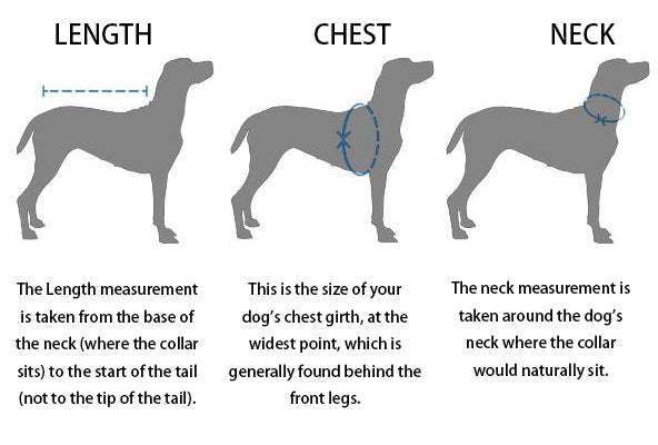 dog size measurement instruction image