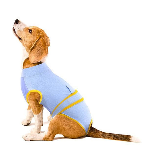 Blue Recovery Suit For Dogs & Cats After Surgery