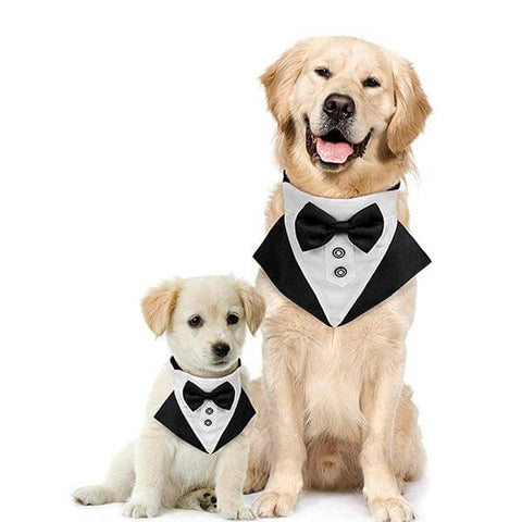 Dapper Dog Tuxedo Bandana Collar With Adjustable Buckle