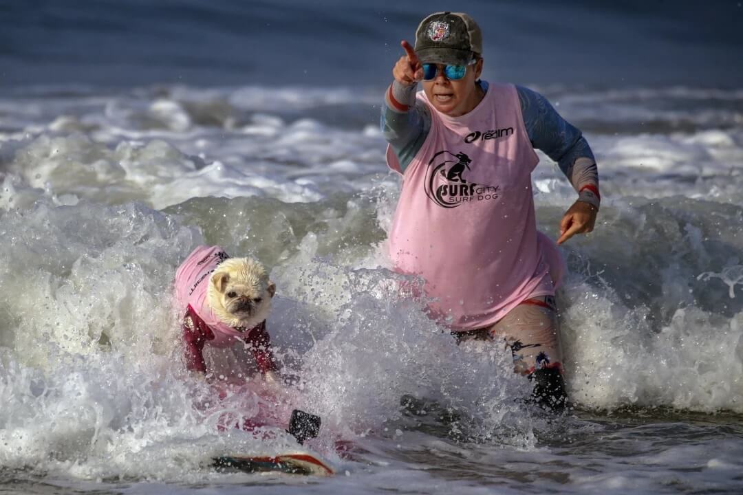 Fiona Kepmin points the way to Surf Gidget, a pug.