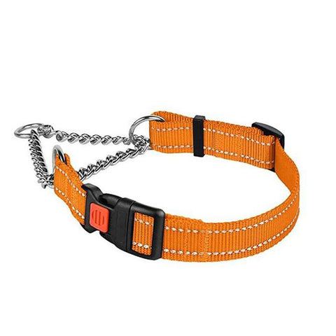 Martingale Collar