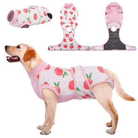 Pink Recovery Suit For Dogs & Cats After Surgery