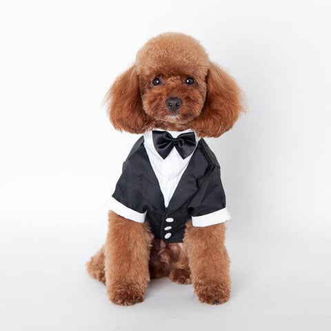 Small Dog Tuxedo Suit Costume With Black Bow Tie For Wedding