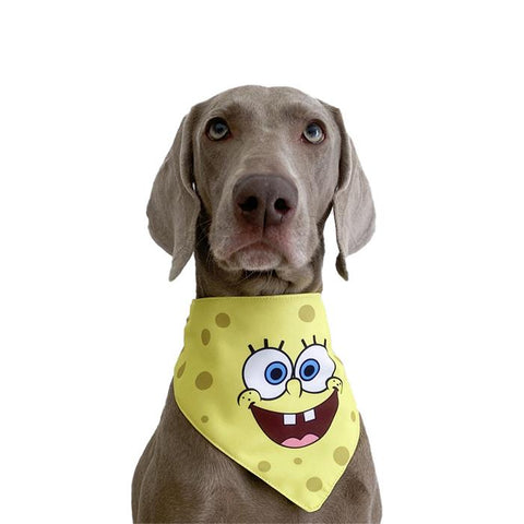 Sponge Bob Pattern Pet Bandana