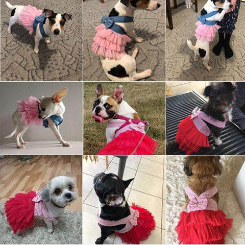 Stitching Bow Knot Dress For Pet