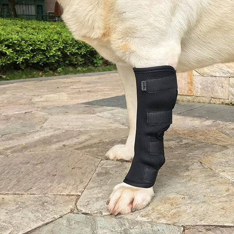dog surgical recovery suit legs