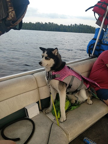 mermaid dog life jacket