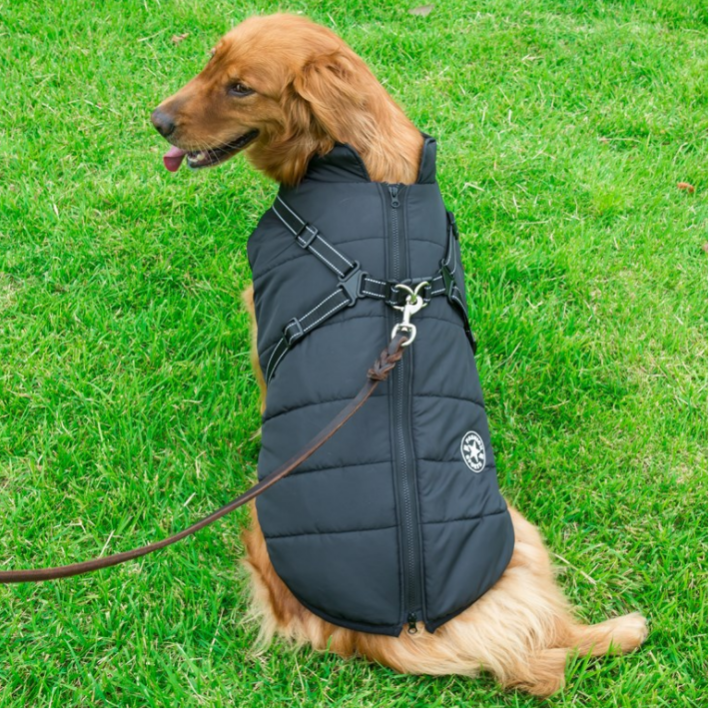 waterproof dog coat for use with harness