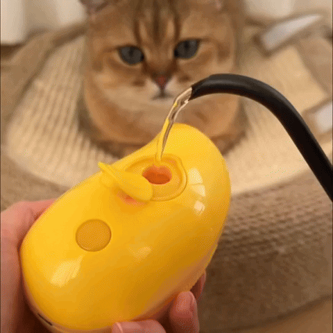 Electric Steamy Cat Brush tekshop.no