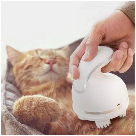 hodemassasje til katter cat massager