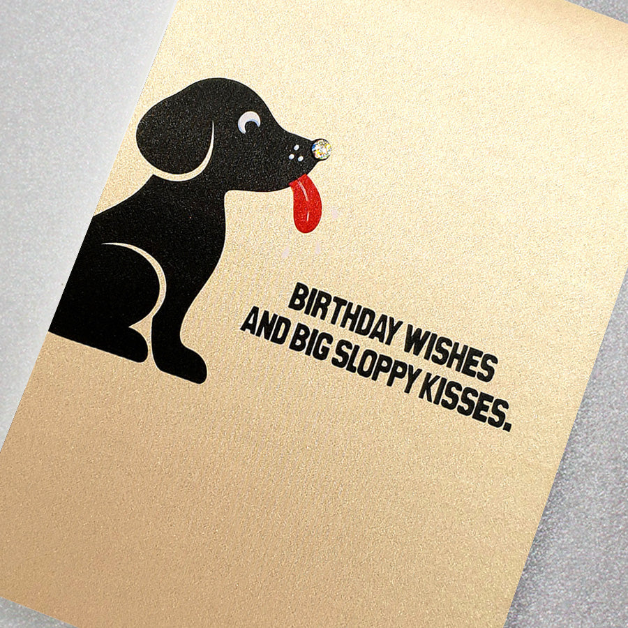 Birthday Wishes And Big Sloppy Kisses – Five Dollar Shake