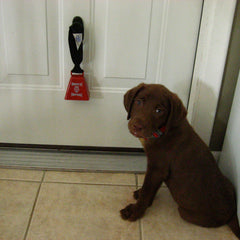 football bell used in dog training