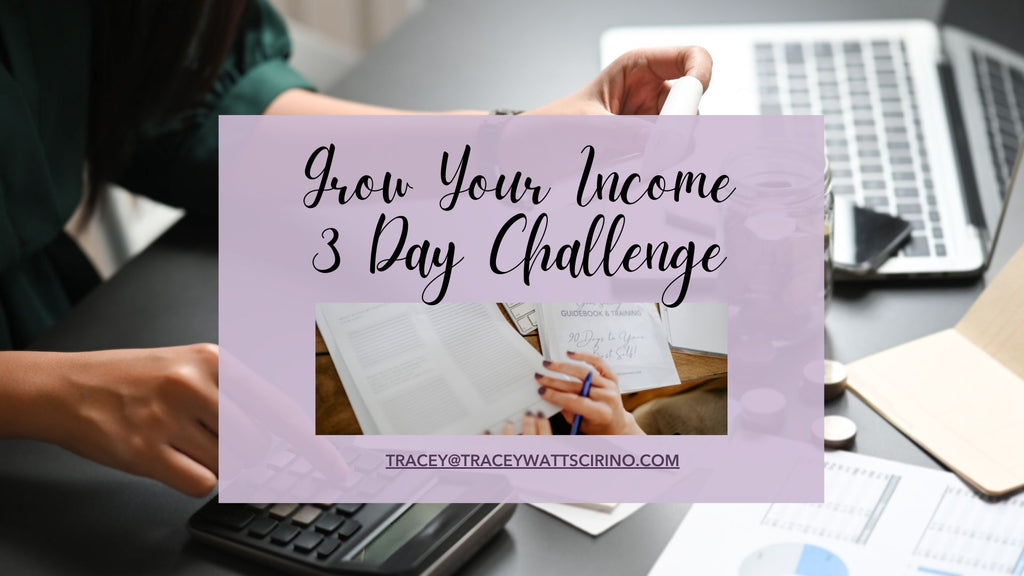 3 Day Grow Your Income Challenge
