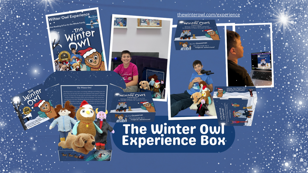 The Winter Owl Experience Box
