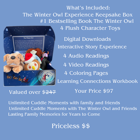 The Winter Owl Experience Box