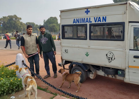 New Delhi Animal Rescue