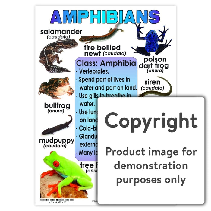 Amphibians — Depicta