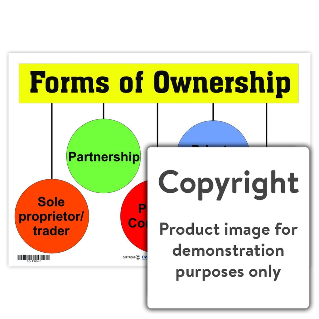 Forms Of Ownership Depicta   Forms Of Ownership Wall Charts And Posters 873 1200x1200 