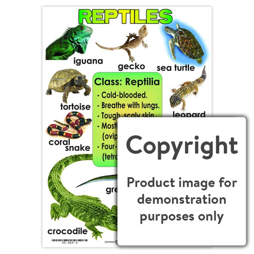 reptiles chart