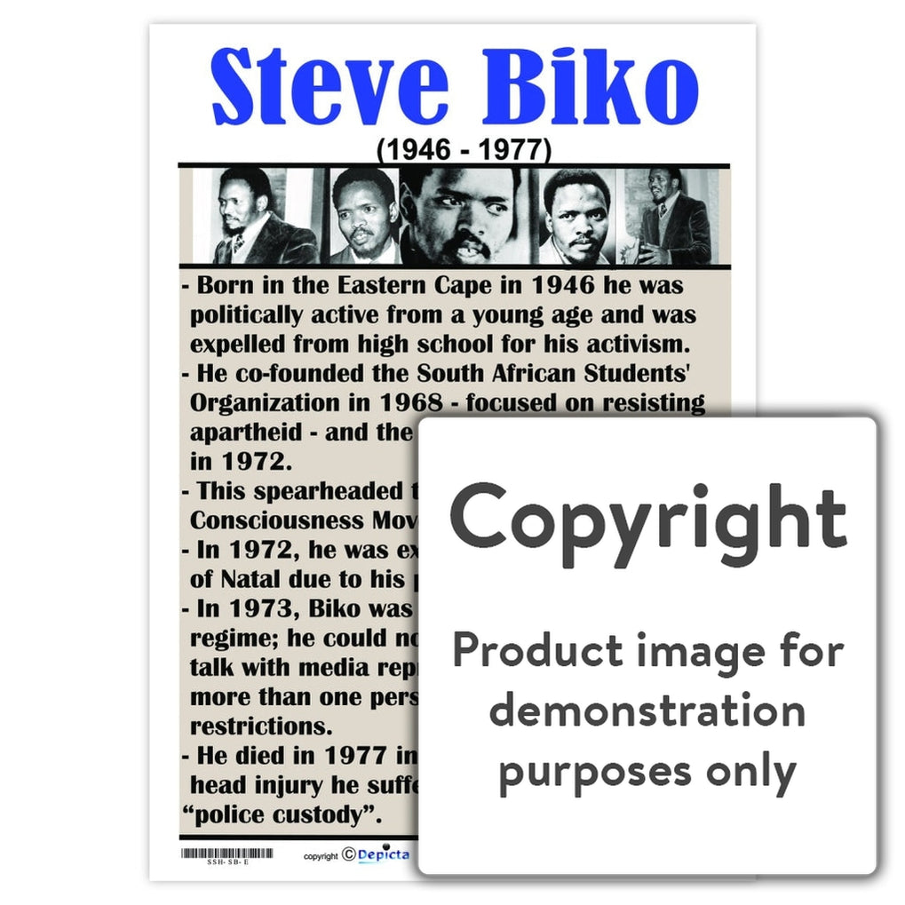 grade 12 history steve biko essay