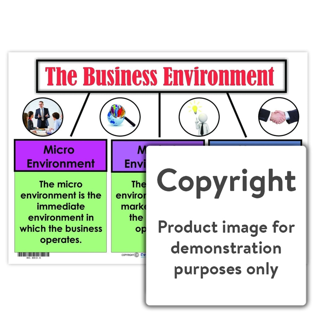 The Business Environment – Depicta