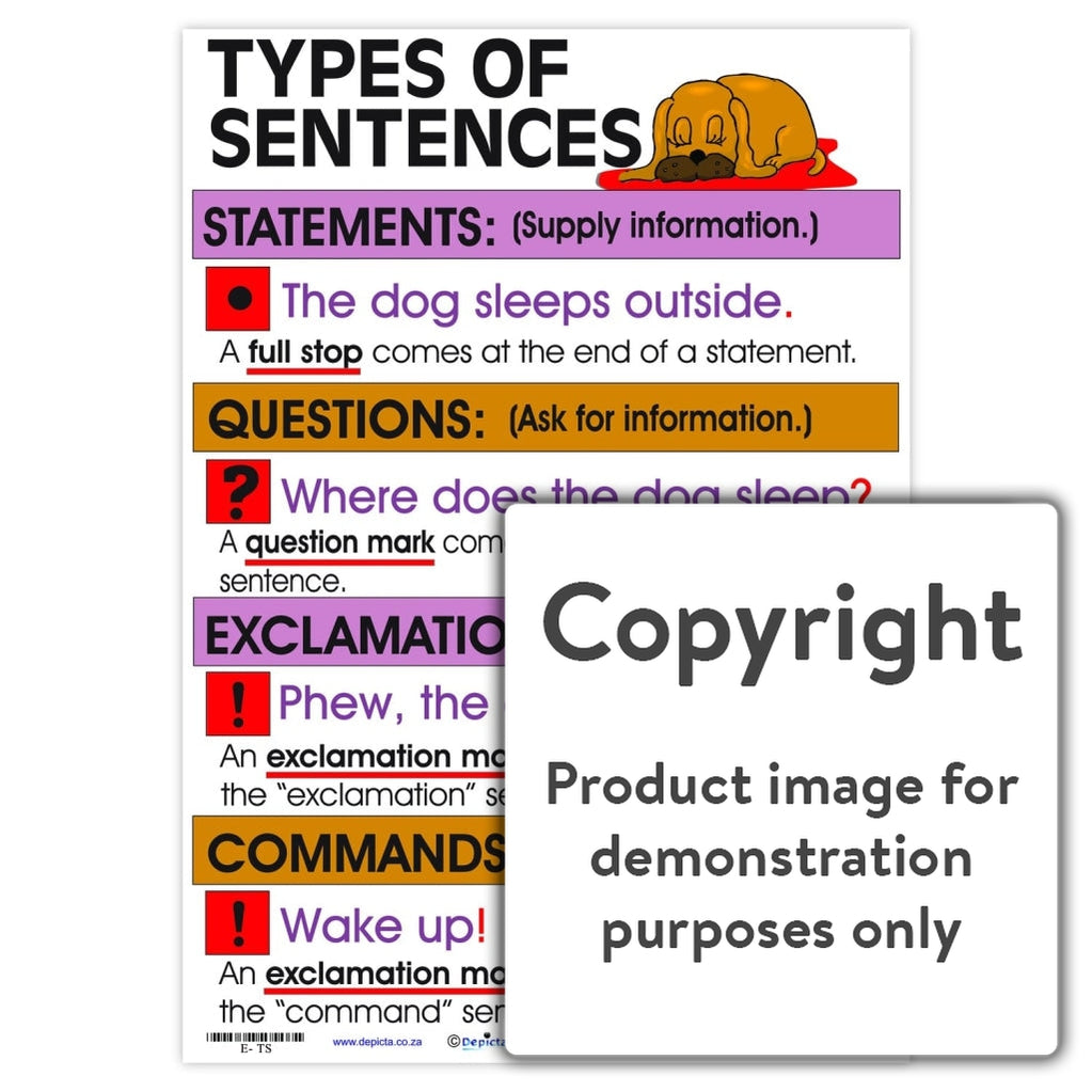 Identifying Sentence Types Quiz
