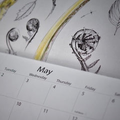 Raina McDonald's May calendar page with fiddlehead drawings