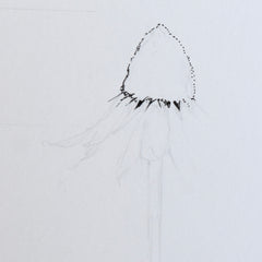 cone flower drawing in progress