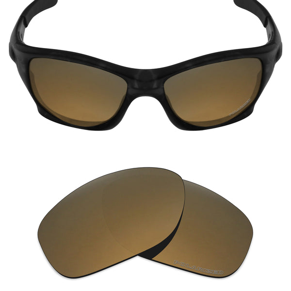 oakley pitbull lenses