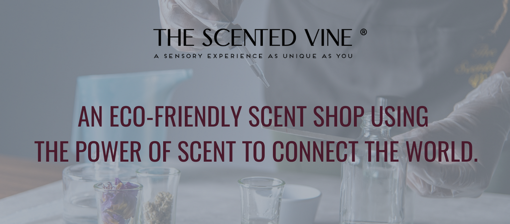 The Scented Vine - Using the power of scent to connect the world