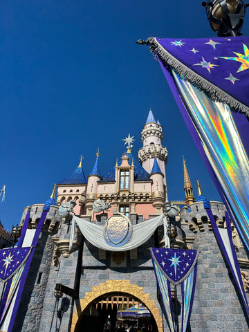 Disneyland Castle 100 Years of Wonder