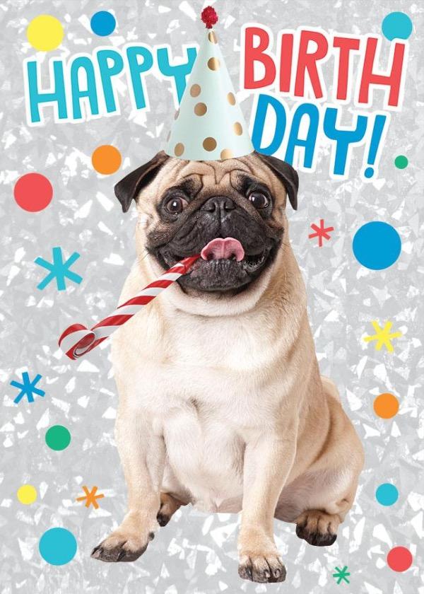 Birthday Pug Foil Card – Paper House Productions