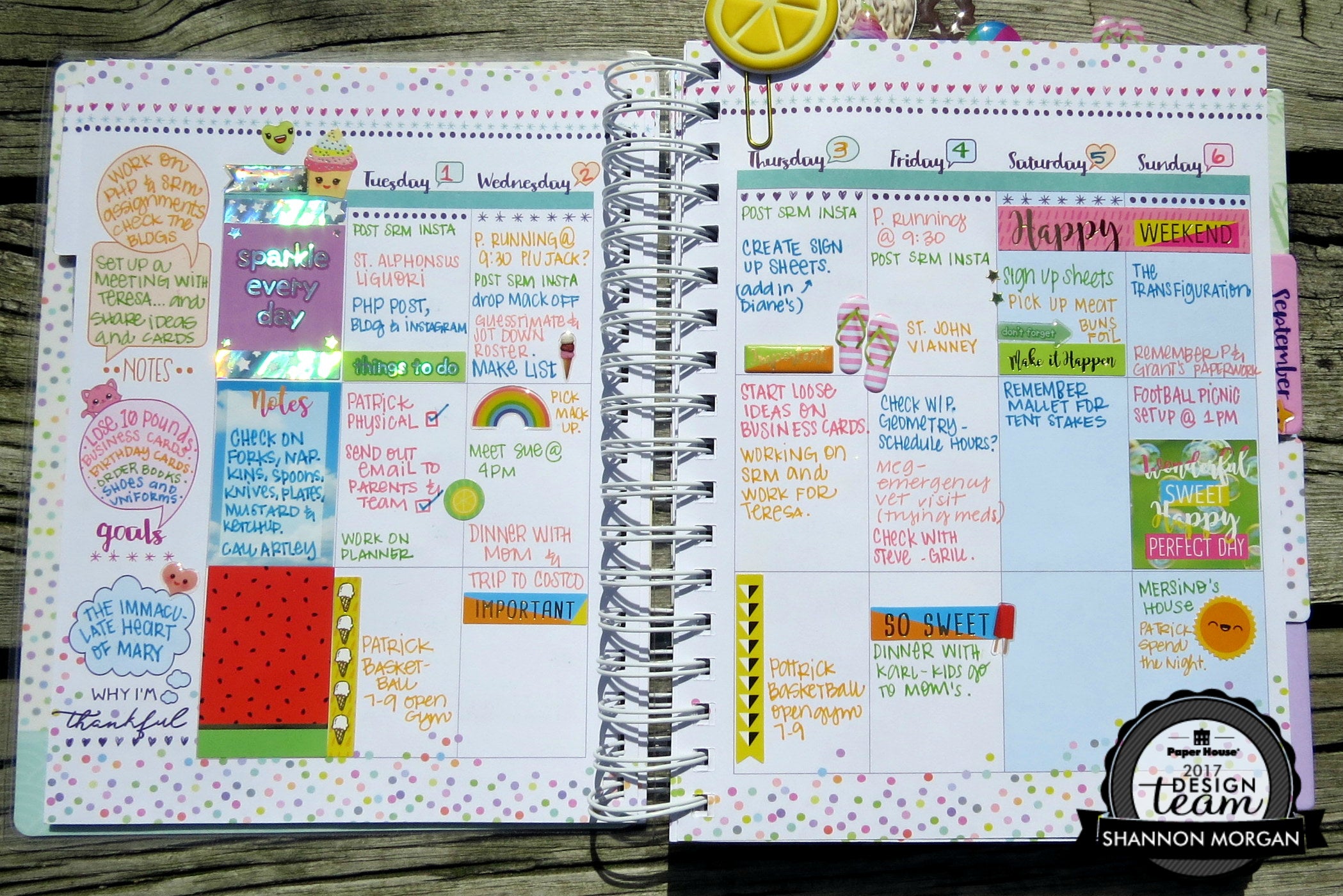 PHP PLANNER POST 2, AUGUST 2017, SHANNON M