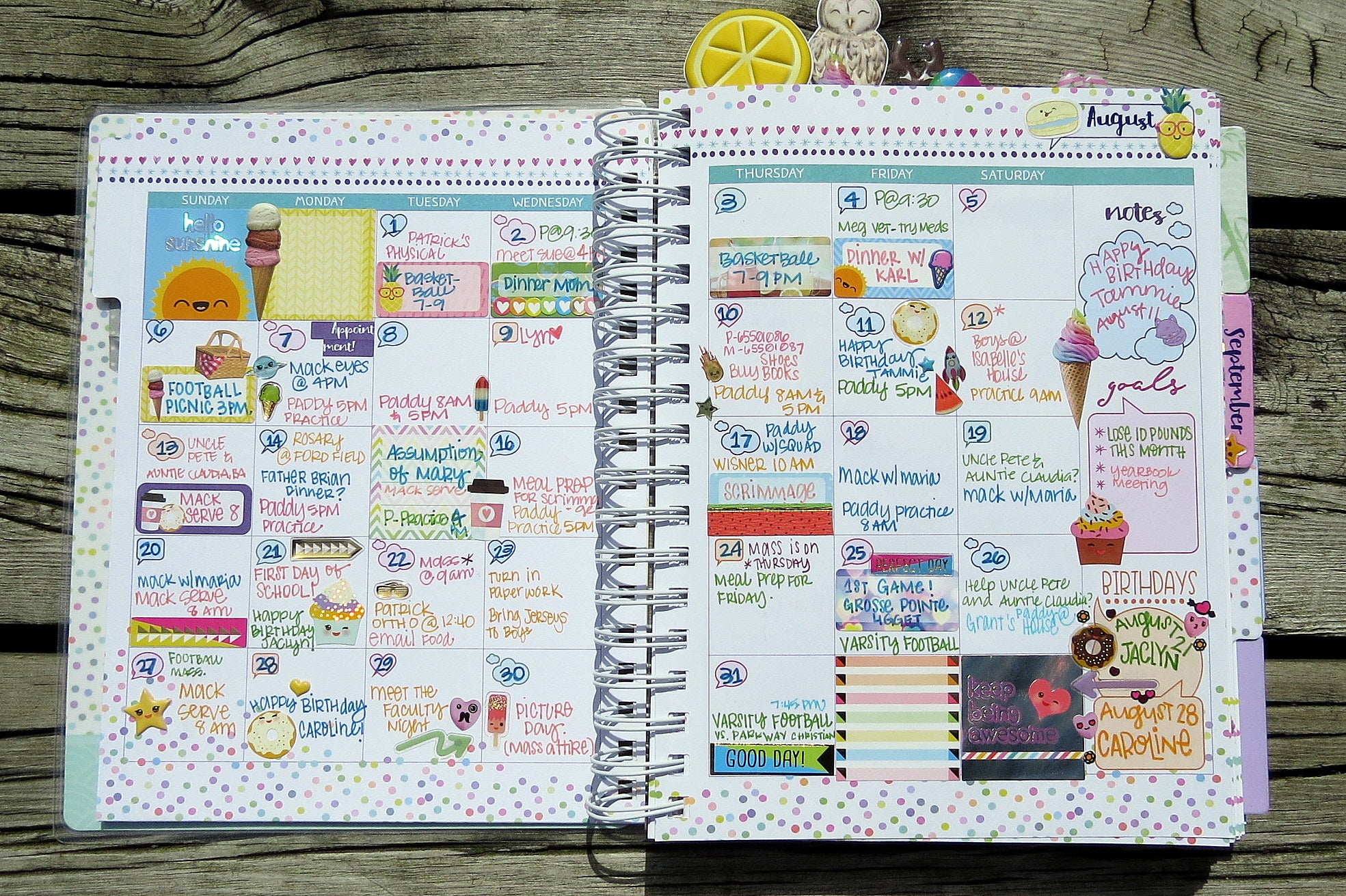 PHP PLANNER POST, AUG, 2017, Shannon M.