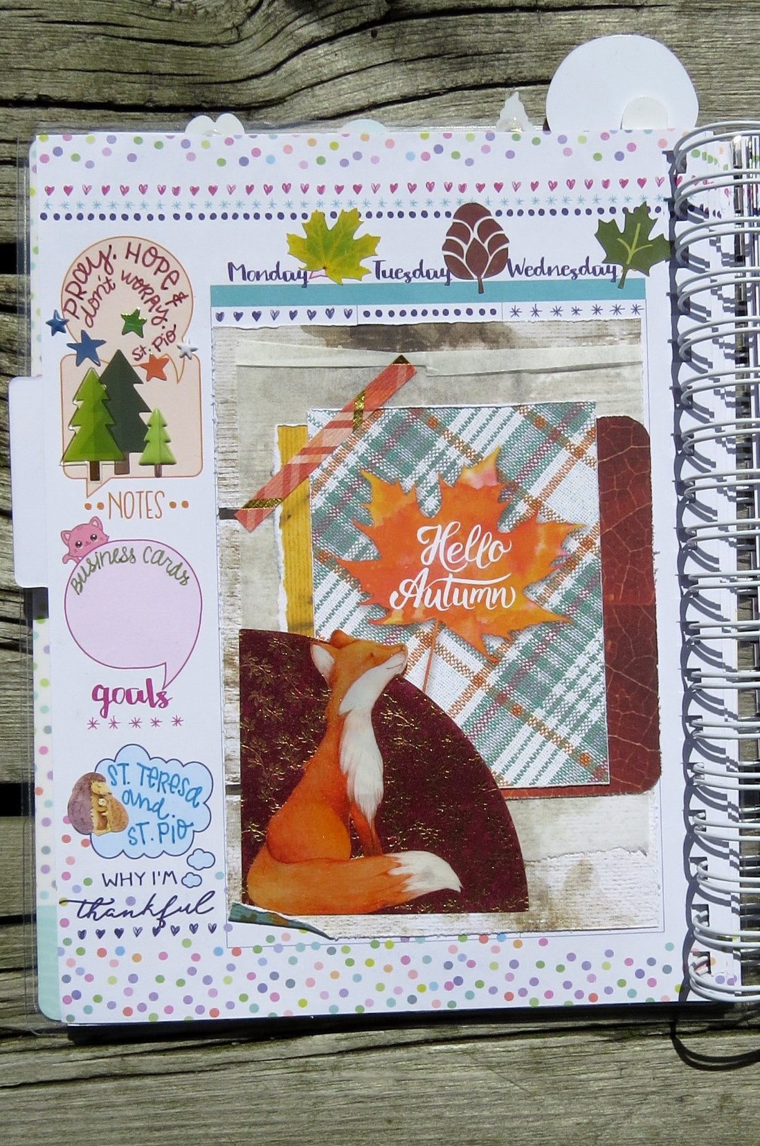 PHP PLANNER POST, SEPT 2, SHANNON M.