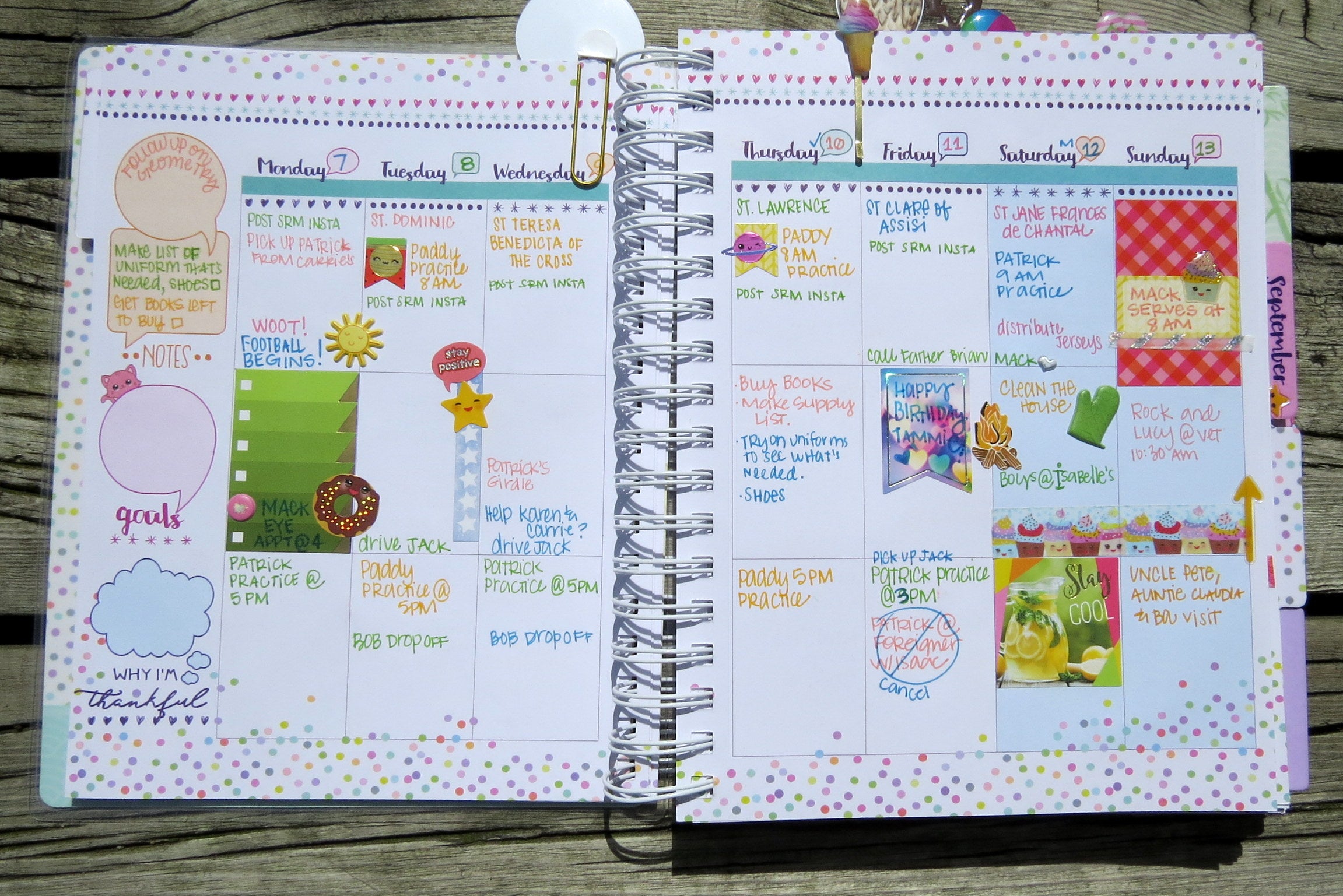 PHP PLANNER POST WEEKLY, SHANNON M.