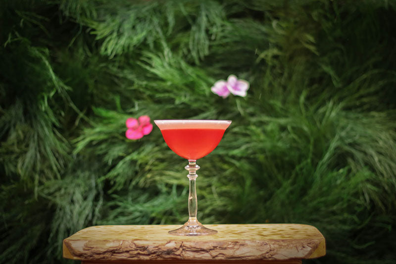 Beauty Elixir Cocktail