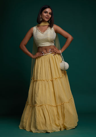 Shimmer Bridal Lehenga in Beige and Brown with Zari work | Saree designs, Bridal  lehenga choli, Party wear sarees