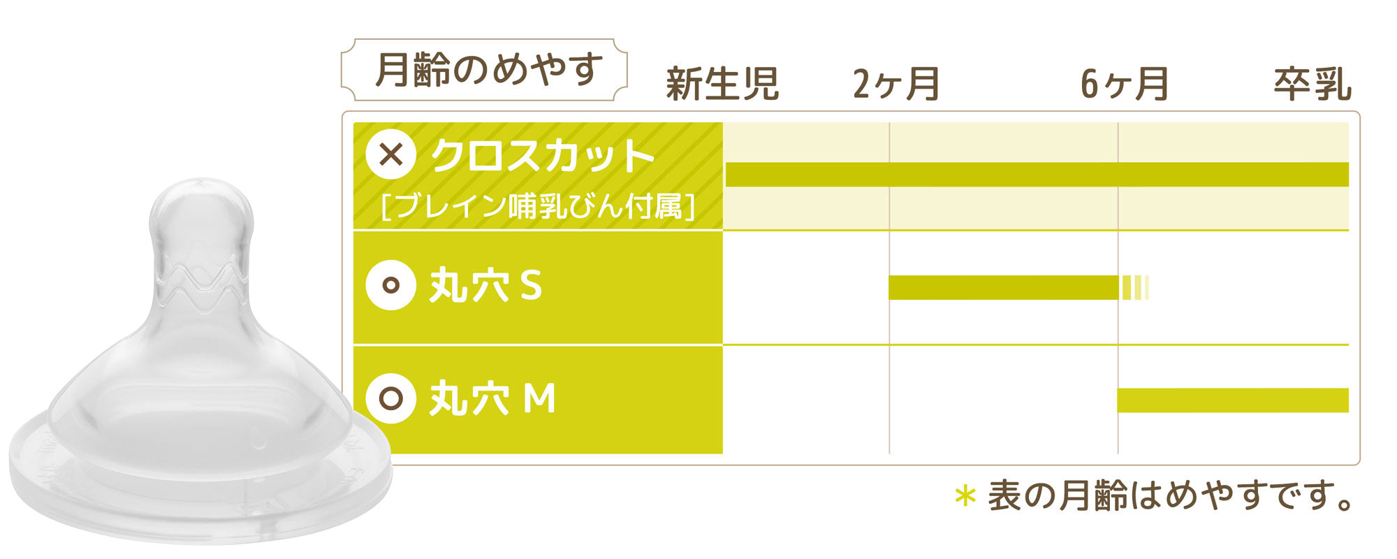 ブレイン乳首 月齢の目安