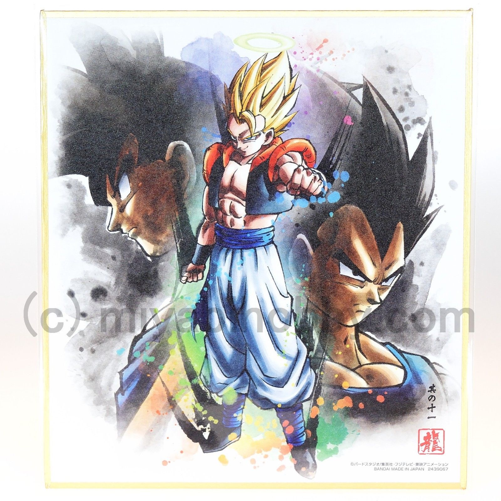 Dragon Ball Z Super Colored Paper Shikishi Art Super Saiyan Gogeta Gokou 11