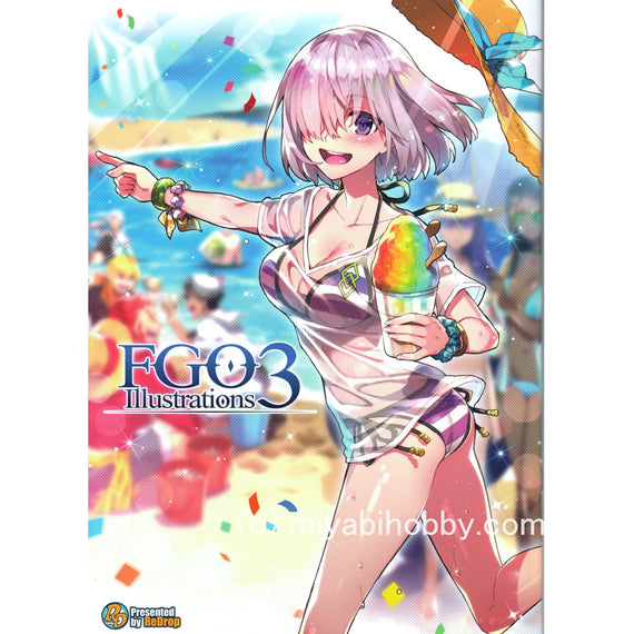 Fate Grand Order Fgo Material Iii 3 Illustration Art Book Japan Animation Art Characters Japanese Anime