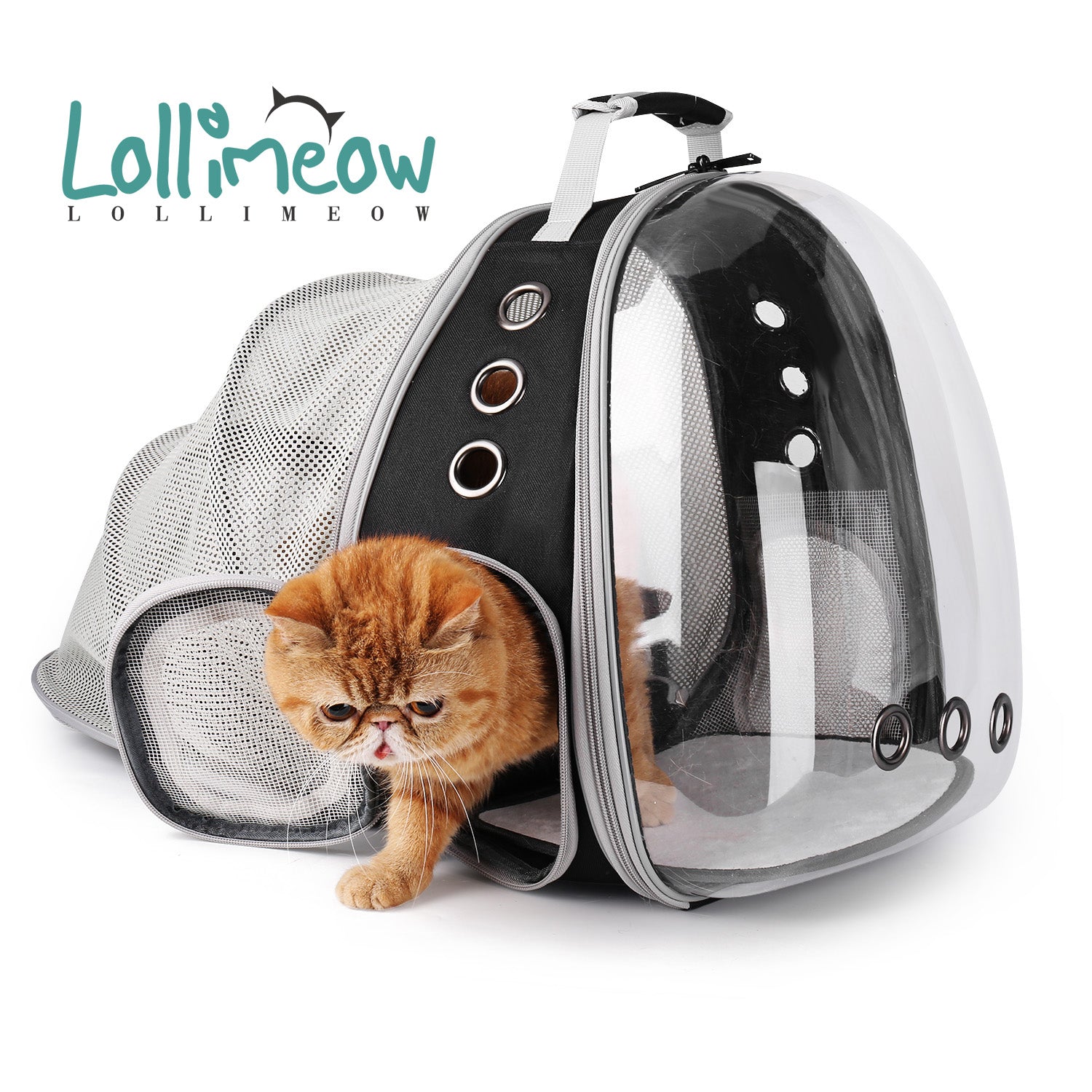 cat backpack with dome window